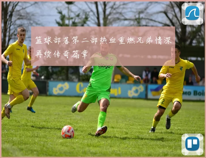 篮球部落第二部热血重燃兄弟情深再续传奇篇章