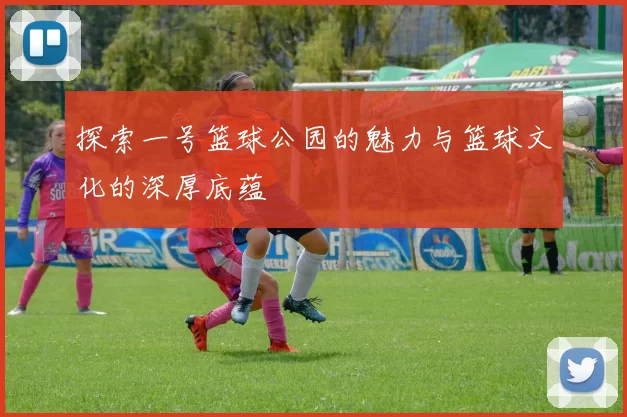 探索一号篮球公园的魅力与篮球文化的深厚底蕴