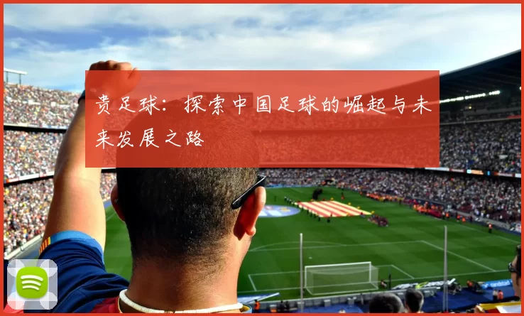 贵足球：探索中国足球的崛起与未来发展之路